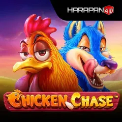 chicken chase